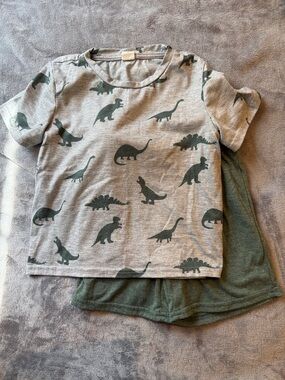 SHEIN Gray & Green Dinosaur Kids Matching Set